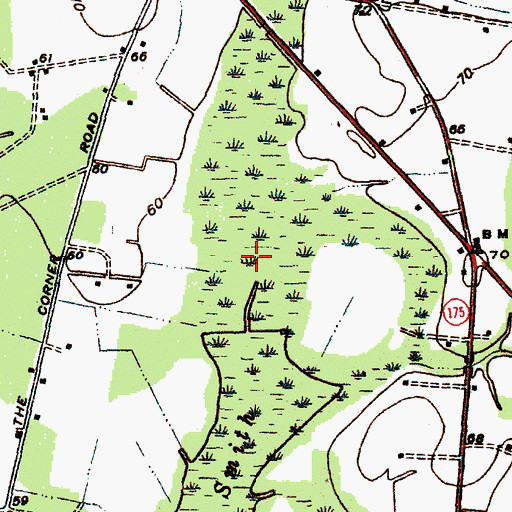 Topographic Map of Smith Swamp, SC