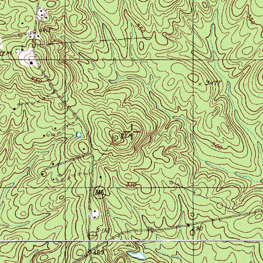 Topographic Map of Smyrles Cemetery, SC