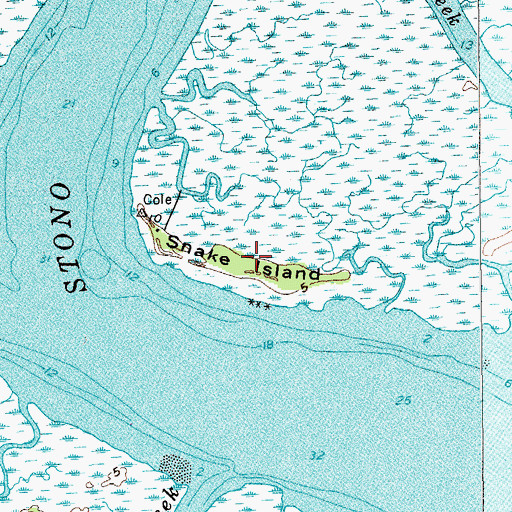 Topographic Map of Snake Island, SC