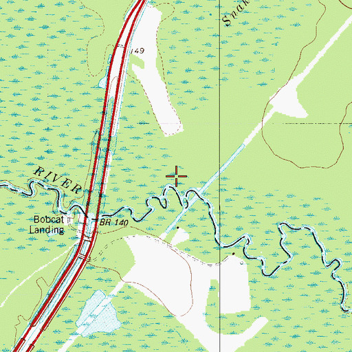 Topographic Map of Snake Swamp, SC