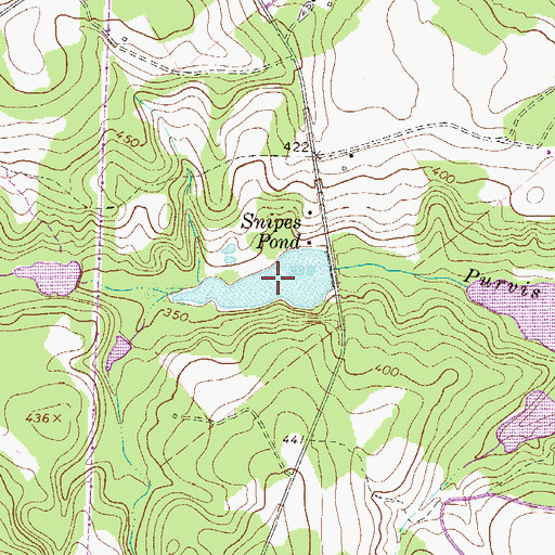 Topographic Map of Snipes Pond, SC
