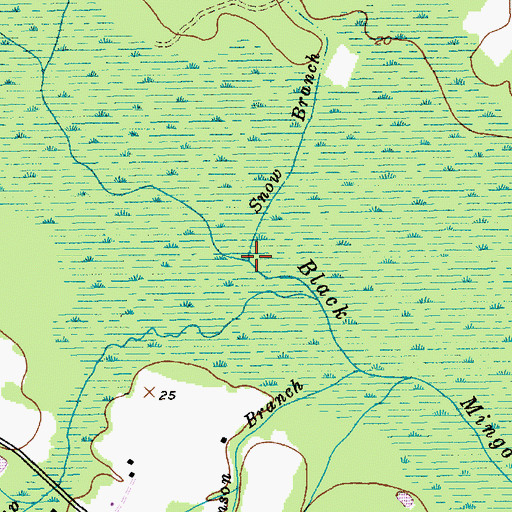 Topographic Map of Snow Branch, SC