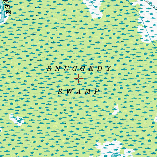 Topographic Map of Snuggedy Swamp, SC