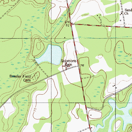 Topographic Map of Solomons Cemetery, SC