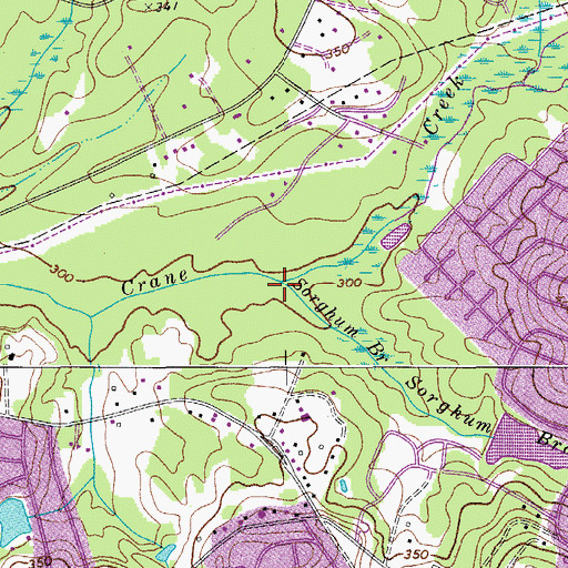 Topographic Map of Sorghum Branch, SC