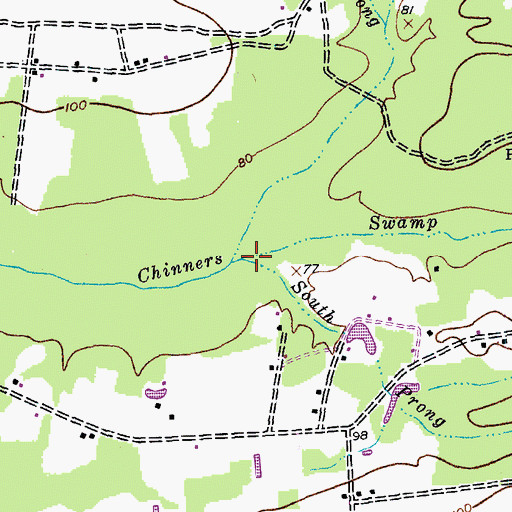 Topographic Map of South Prong Chinners Swamp, SC