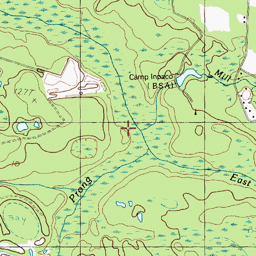 Topographic Map of South Prong Steritt Swamp, SC