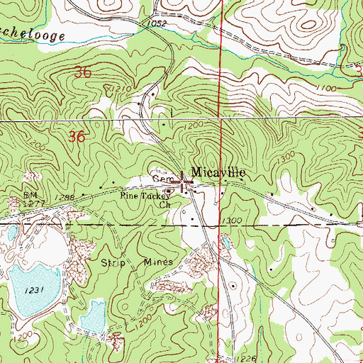 Topographic Map of Micaville, AL