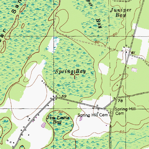 Topographic Map of Spring Bay, SC