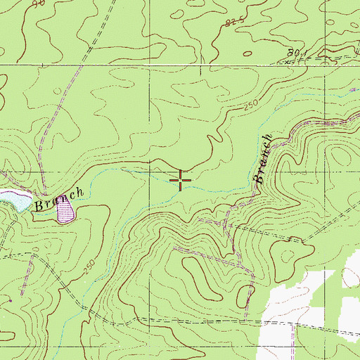 Topographic Map of Spring Branch, SC