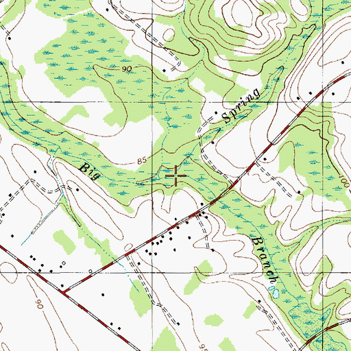 Topographic Map of Spring Branch, SC