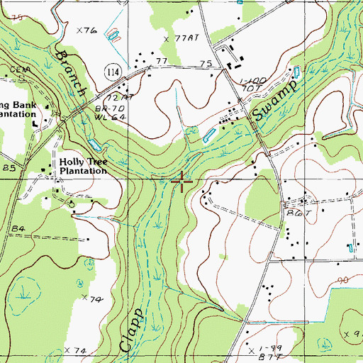 Topographic Map of Spring Branch, SC