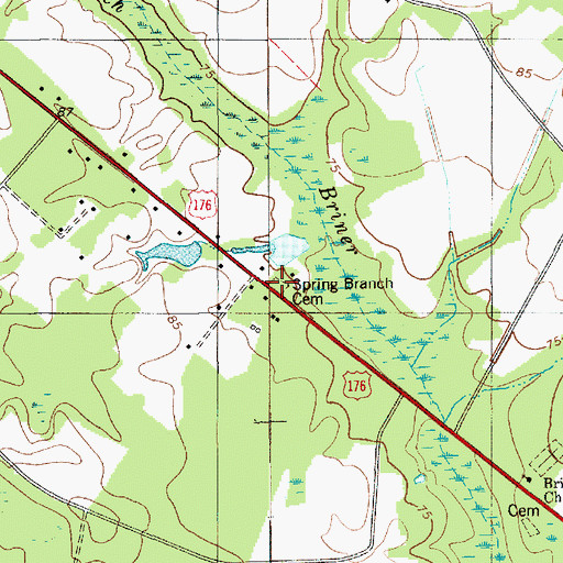 Topographic Map of Spring Branch Cemetery, SC