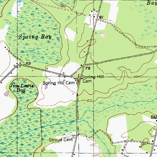 Topographic Map of Spring Hill Cemetery, SC