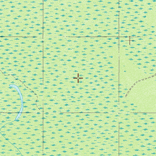 Topographic Map of Spring Run, SC
