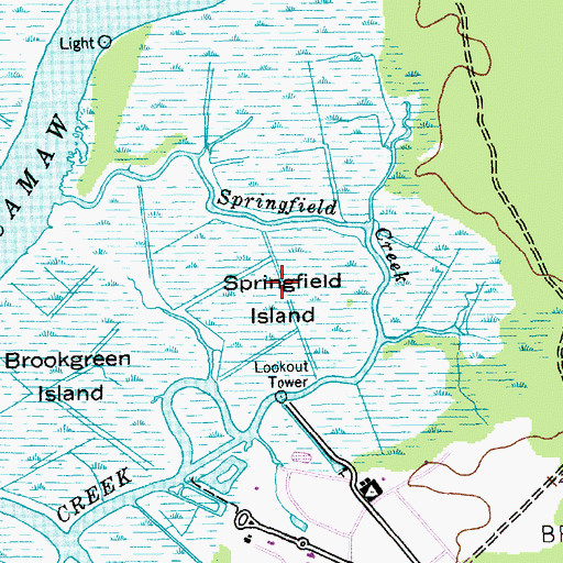 Topographic Map of Springfield Island, SC