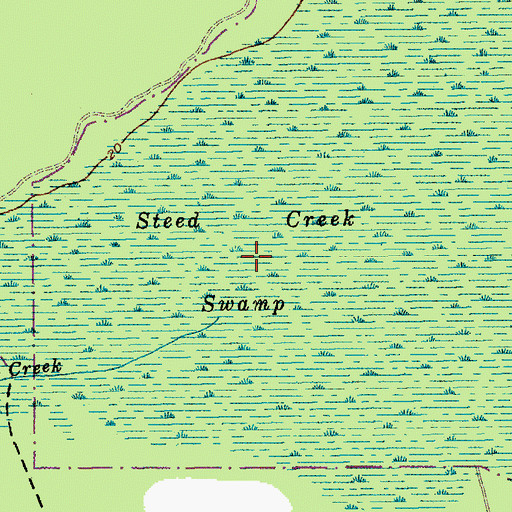 Topographic Map of Steed Creek Swamp, SC