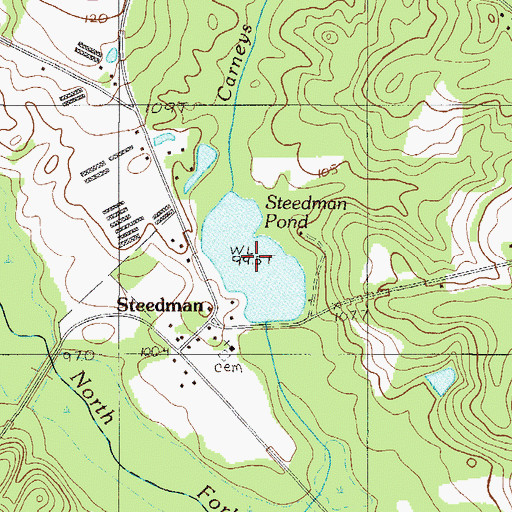 Topographic Map of Steedman Pond, SC