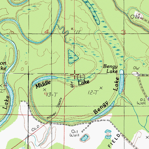 Topographic Map of Middle Lake, AL