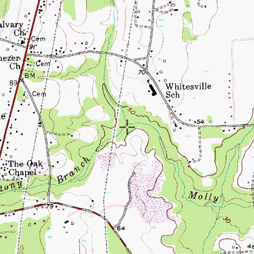 Topographic Map of Stony Branch, SC