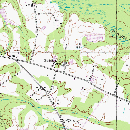 Topographic Map of Strickland Cemetery, SC