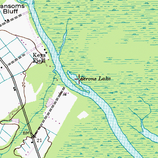 Topographic Map of Strons Lake, SC