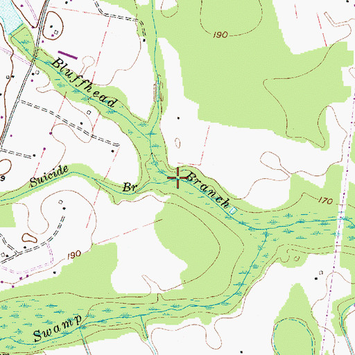 Topographic Map of Suicide Branch, SC