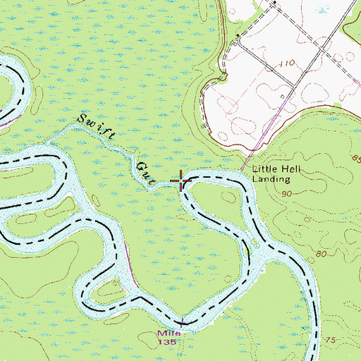 Topographic Map of Swift Gut, SC
