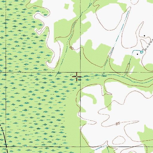 Topographic Map of Target Swamp, SC