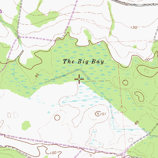 Topographic Map of The Big Bay, SC