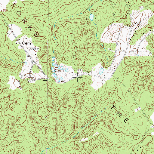 Topographic Map of The Forks, SC