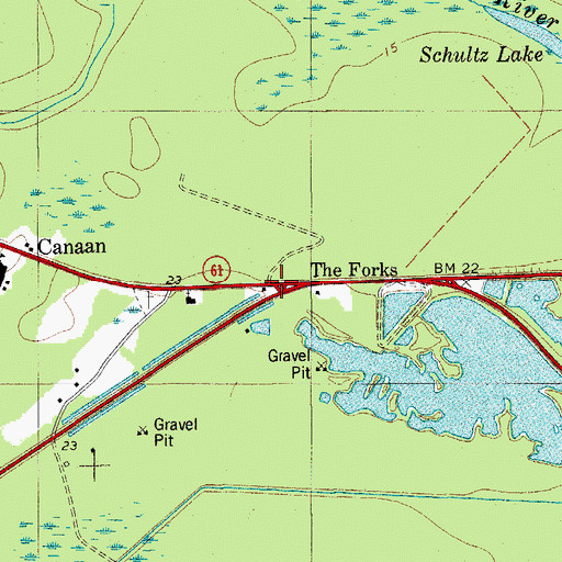 Topographic Map of The Forks, SC