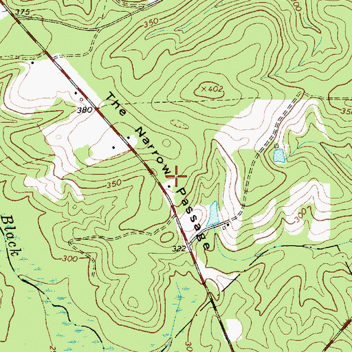 Topographic Map of The Narrow Passage, SC