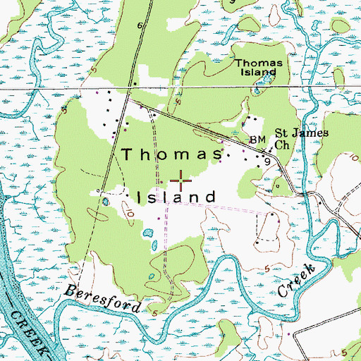 Topographic Map of Thomas Island, SC