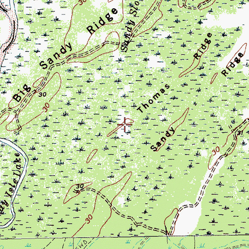 Topographic Map of Thomas Ridge, SC