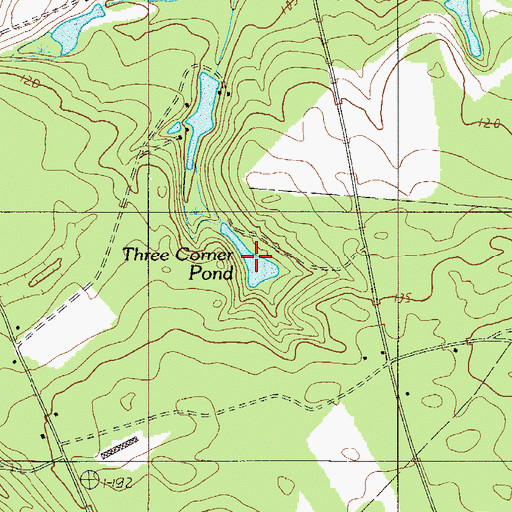 Topographic Map of Three Corner Pond, SC