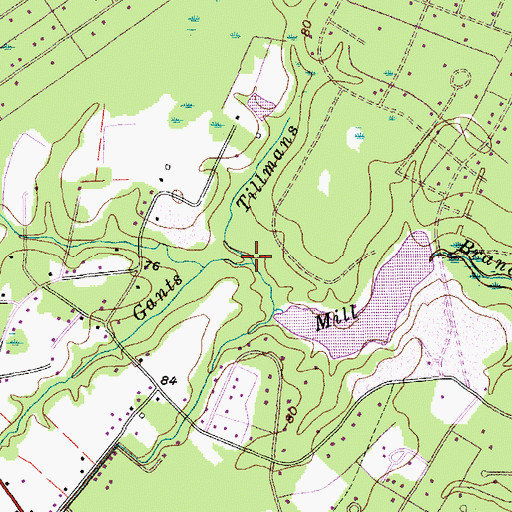 Topographic Map of Tillmans Branch, SC