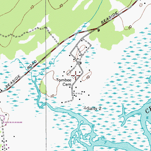 Topographic Map of Tombee Cemetery, SC