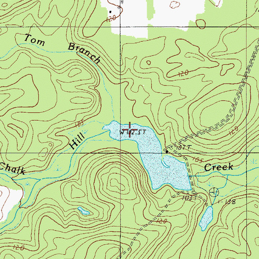 Topographic Map of Toms Branch, SC