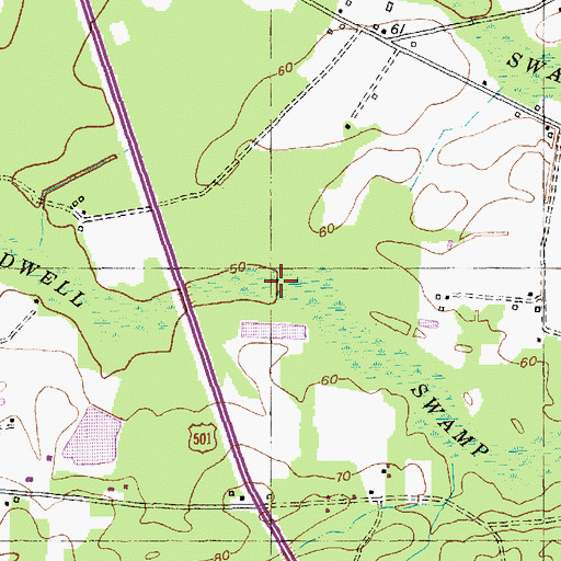 Topographic Map of Tredwell Swamp, SC