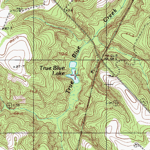Topographic Map of True Blue Lake, SC