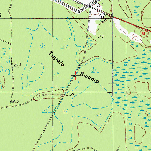 Topographic Map of Tupelo Swamp, SC