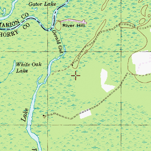 Topographic Map of Turkey Pen Swamp, SC
