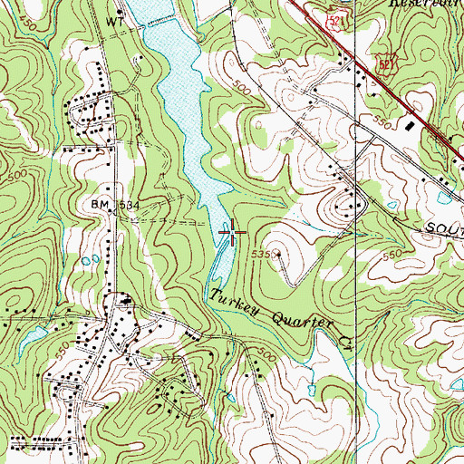 Topographic Map of Turkey Quarter Creek, SC