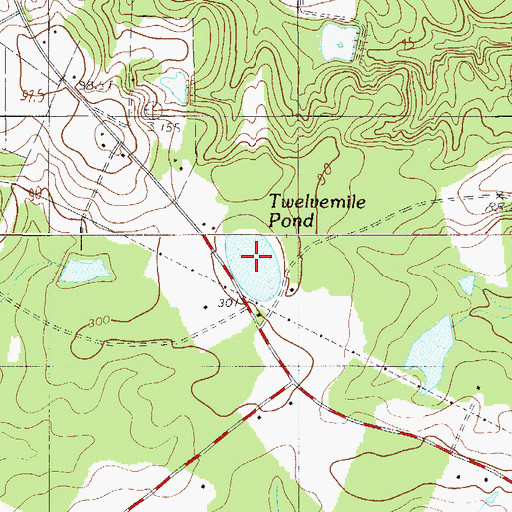 Topographic Map of Twelvemile Pond, SC