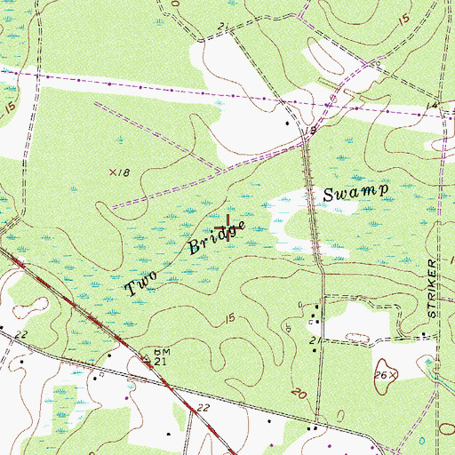 Topographic Map of Two Bridge Swamp, SC