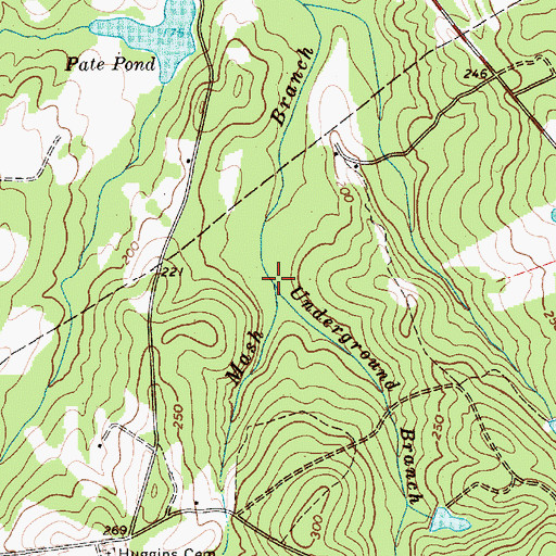 Topographic Map of Underground Branch, SC