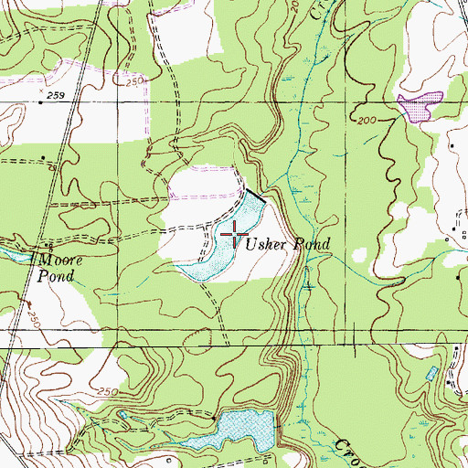 Topographic Map of Usher Pond, SC