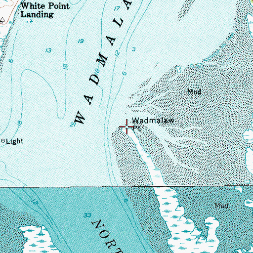 Topographic Map of Wadmalaw Point, SC