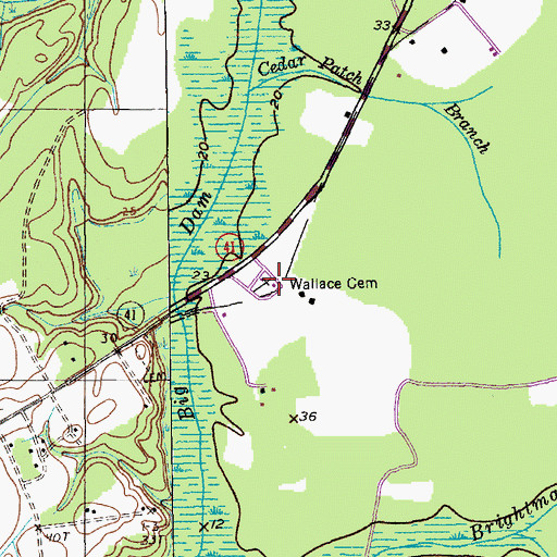 Topographic Map of Wallace Cemetery, SC